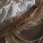 pexels-photo-11001909