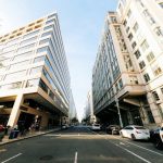 pexels-photo-32017632