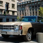 pexels-photo-29004586